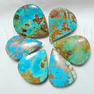 PERSIAN TURQUOISEnatural (D13)