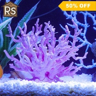 【RS】 Mini Resin Soft Simulation Aquatic Grass Fake Coral Fish Aquarium Landscape Seawater Tank Set Decoration