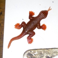 Rubber toy gecko Adult insect gecko toy