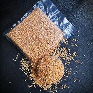 GANDUM UTUH IMPORT - WHOLE WHEAT - SUPER GRADE - HARGA PER KILO - 1
