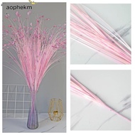 AOPHEKM 5pcs/Pack Peacock Grass, 20 Heads Feather Texture Artificial Grass, Bohemian Multicolor 80cm