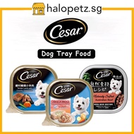 Cesar Wet Dog Tray Food (85g / 100g)