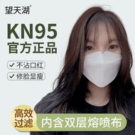 望天湖kn95口罩一次性口罩柳叶型鱼型kn95独立包装4D立体口罩韩式 kn95口罩 KN95+细菌过滤大于等于99% 100片