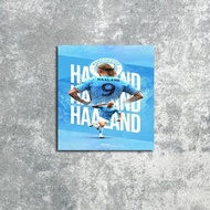 DL25 Erling Haaland Poster