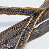 Tahirtian vanilla bean pod / All natural Grade A vanilla bean pod from Indonesia_Papua