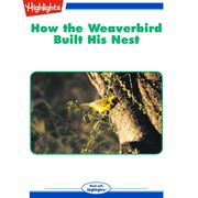 How the Weaverbird Built His Nest George W. Frame, Ph.D.