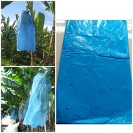 1kg Banana Bagging with UV /Beg Bungkus Tandan Pisang Plastik /Balut Pisang 1KG (READY STOCK)