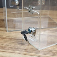Taoyuan Shipment Acrylic Piggy Bank Transparent Locked Piggy Bank Money Bank Piggy Bank Piggy Bank P