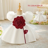 0-3Y Kids Girl Dress Birthday One-Year-Old Princess Dress Baby Puffy Dress Baby Wedding Flower Girl 