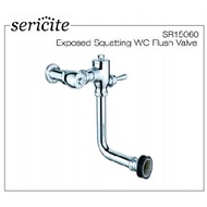 BRAND SERICITE SR15060 SQUATTING PAN EXPOSED FLUSH VALVE
