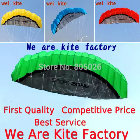 Outdoor Fun 2.5m Dual Line Stunt Power Kite Soft Kite Parafoil Kite Surf Flying Outdoor Sports Kites
