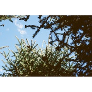 [Too Lazy to Photograph] Color Negative Film C41 Film 135/120 Film Film Rinse Rinse Rinse Photograph