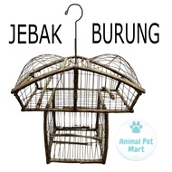 Jebak Burung Serindit