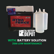 2SM DYNA FORCE LOW MAINTENANCE CAR BATTERY (WITH OR WITHOUT SOLUTION)