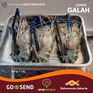 Jual udang Galah Besar Jumbo Gede Fresh 1 Kg isi 4-7 Ekor