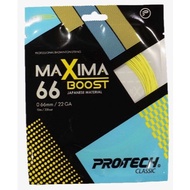Protech Maxima 66 Boost Badminton String Tali Badmintion