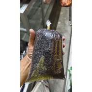 BERAS PULUT HITAM HALAL
