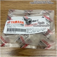 Screw Nut Visor y16zr