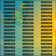 Sim số đẹp Mobifone tam hoa đầu 09 tam hoa 333 lộc phát gia