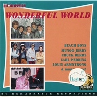 Various CD-Wonderful World (CD) (G+)