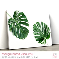 กรอบรรูปติดผนัง ภาพใบไม้ มอนสเตร่า Monstera ภาพพิมพ์ สไตล์ภาพโมเดิร์น แคนวาสแท้ กรอบรูปติดผนัง ภาพติดผนัง กรอบรูปแต่งบ้าน ตกแต่งผนังห้อง