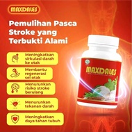 MAXDALES ® Maxdales Original Membantu Mengurangi Lemak Dalam Darah | Maxdales Bantu Pemulihan Stroke