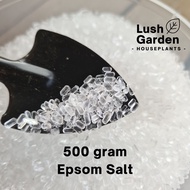 500G Epsom Salt For Gardening / Magnesium Sulphate / Organic Fertiliser / Baja Organik 有机肥料 [Lush Garden]