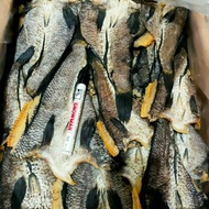 Ikan Toman Kering Kalimantan Barat