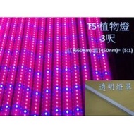 【ARS生活館】LED 植物燈 LED日光燈管 T5 3呎 紅(660nm):藍(450nm)=5:1