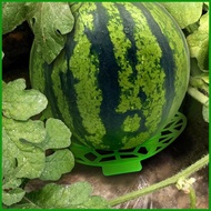 Watermelon Stand for Garden 4 Pieces Cantaloupe Support Cantaloupe Support Tray for Gardeners Farmer