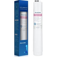 H2O Stage 4 Post Carbon Block CTO Replacement Filter, Compatible with Pure Blue H2O Stage 4 Post CTO