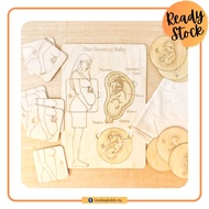 Our Growing Baby Puzzle Pregnancy Puzzle Montessori Foetus Diagram Pregnancy Journey