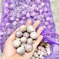 BAWANG PUTIH TUNGGAL 500G/ BAWANG LANANG/ BAWANG JANTAN/ SOLO GARLIC