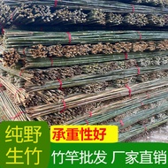[in stock] Bamboo Pole Vegetable Garden Trellis for Beans, Cucumbers, Tomatoes, Climbing Frame, Gard