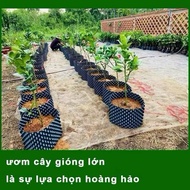 25m V7 nursery pots 30cm, 20cm, 40cm, 50cm, 60cm high, free screws used to grow plants