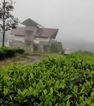 Pangsapuri 1000 m² dengan 3 bilik tidur dan 3 bilik mandi peribadi di Idukki (The Ark Luxury Resort)