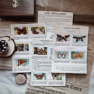 Moth's Dictionary Page Sticker | Shinjodu | Vintage | Journal
