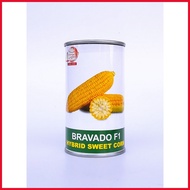 ✤ ▦ ☬ Condor Bravado F1 Hybrid Sweet Corn Seeds