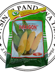 Benih Jagung Paragon +-1750biji