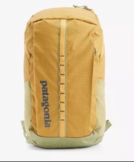 ‼️包速遞 FREE SHIPPING‼️PATAGONIA Black Hole 25L recycled-polyester backpack 背包 雙肩背包 雙肩包 背囊 書包 返工 行山 GYM