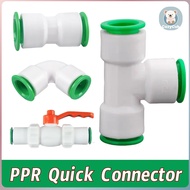 1/2Ppr Fittings Ppr Connector Ppr Quick Connector Ppr Reducer Pipe Connector Fittings Pipe Connector