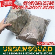 Nomoy NC-01 250GRM MOIST MOSS SPAGNUM MOSS TERRARIUM VIVARIUM