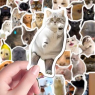 Set of 100 Dog and Cat Meme Stickers Funny and Lovely Meme Size 3-4cm No Repeat