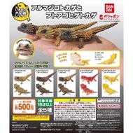 [BTF] Bandai Gecko Capsule Toy Biological Illustrated Book Armadillo Lizard Chow Chow Chow Lizard Ge