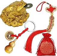 3 Pieces Feng Shui Money Frog Chinese Knot Lucky Coins Feng Shui Brass Wu Lou with Coins Keychain fo