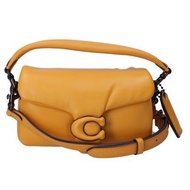 二手 Coach C3880 抱枕，Tabby 碼，18 號（近全新）