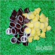 [Insect Heart First Ready Stock] Beetle Jelly, Animal Insect Jelly