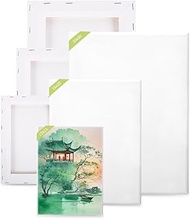6 Piece Canvas for Painting Set, 30 x 20, 20 x 15, 15 x 10 cm Stretcher Frame Canvas, White Canvas P