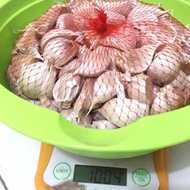 BAWANG PUTIH MURAH 1 KG KATING BAWANG PUTIH CUTTING 1 KG BAWANG PUTIH KATING POTEKAN PROMO 1KG