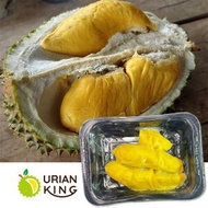 Durian King-馬來西亞極品D197貓山王榴槤果肉(急凍)06708 (隨機包裝) #無添加#齒頰留香#入口即融 【新舊包裝隨機出貨】